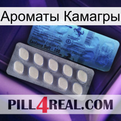 Ароматы Камагры 34